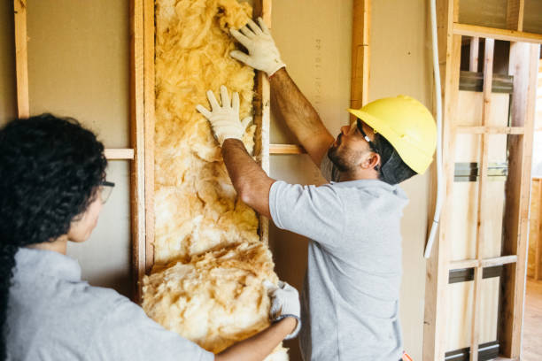 Best Insulation Removal  in Nanakuli, HI